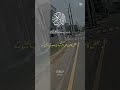 قرآن مجید کی ترجمہ🌱🌱