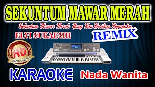 Sekuntum Mawar Merah Remix Karaoke Elvi Sukaesih HD Audio Nada Wanita