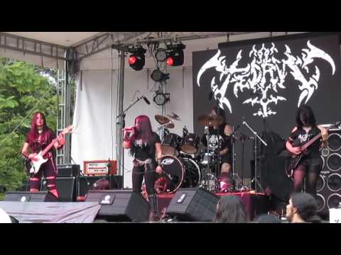 fedra live 8