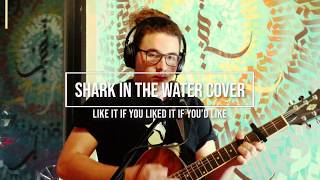 Shark in the water cover