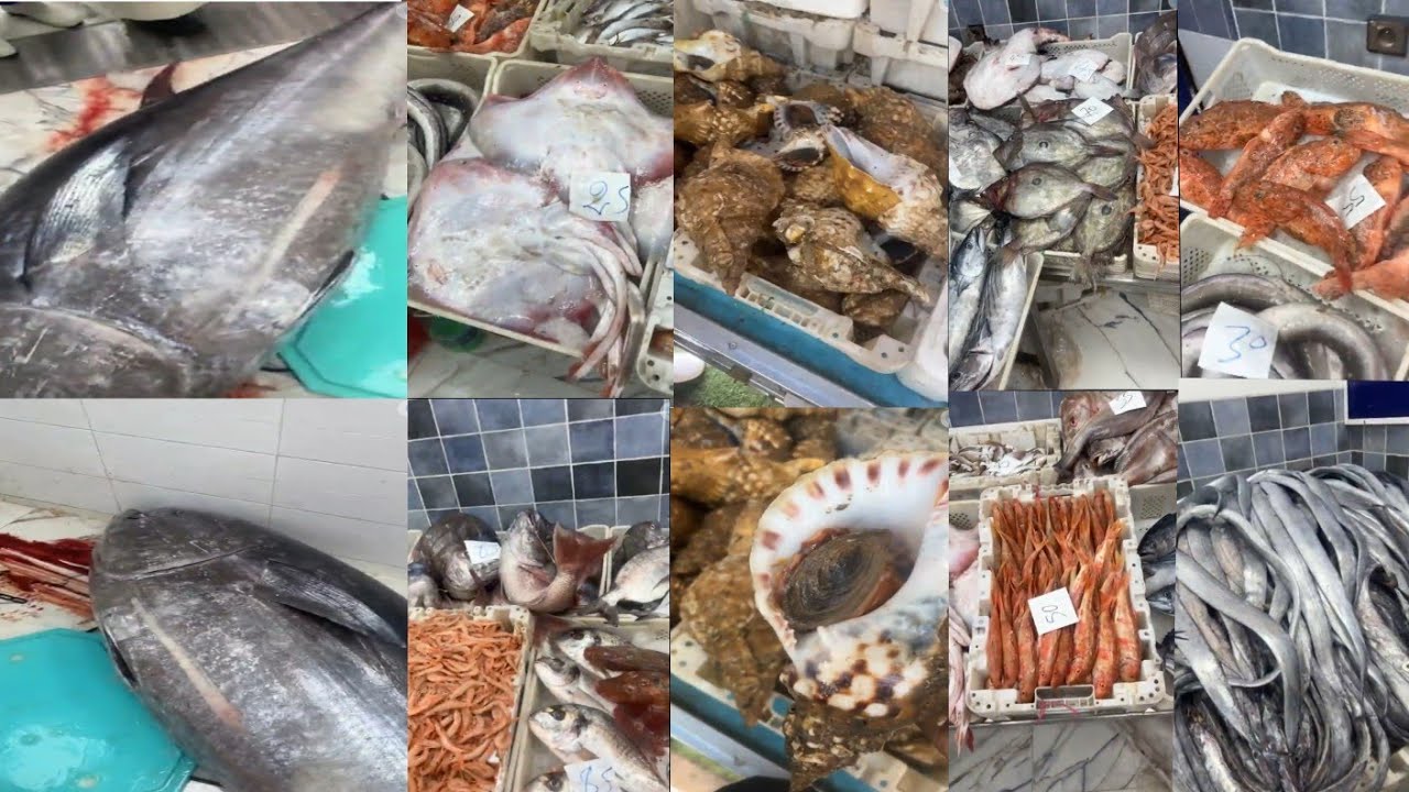 اثمنة اليوم الأحد 22 فبراير  🎏🎏 رقم الواتساب :0642602285الخير موجود 