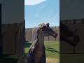 Epic Spinosaurus Roar🐊 Viral Dinosaur Short🌿 #jurassicworld #prehistorickingdom #paleoart