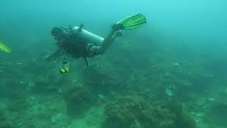 Scuba Diving Elnido Palawan