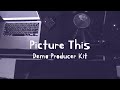 PICTURE THIS (DEMO PRODUCER KIT)