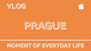 VLOG - Summer breeze and stream in Prague