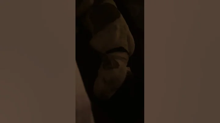 "sweet" dreams