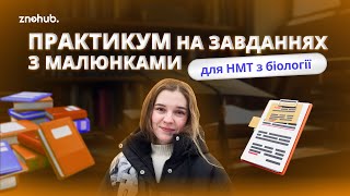 Практикум на завданнях з малюнками для НМТ з біології