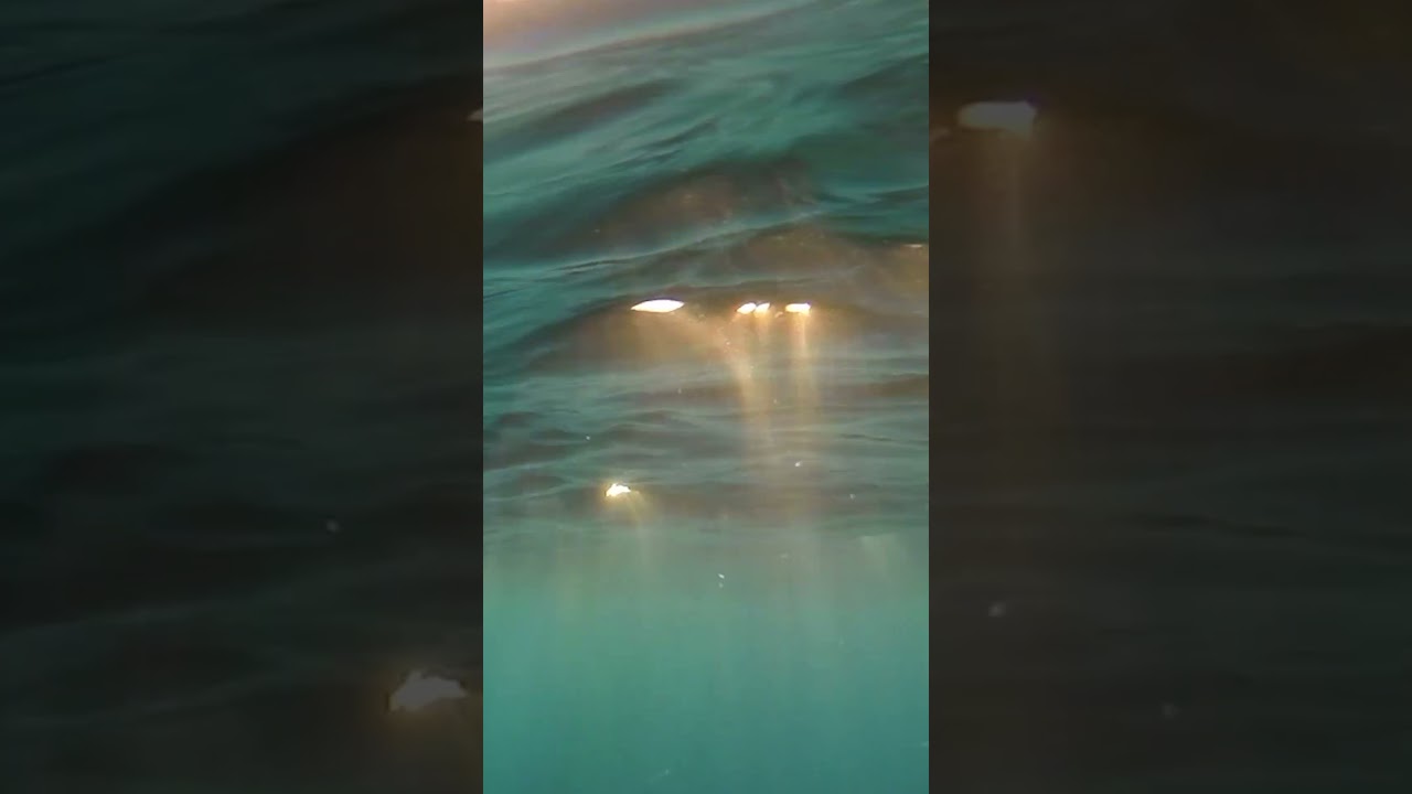 Dancing Light Beneath the Sea | A Calming Meditation Video #travel