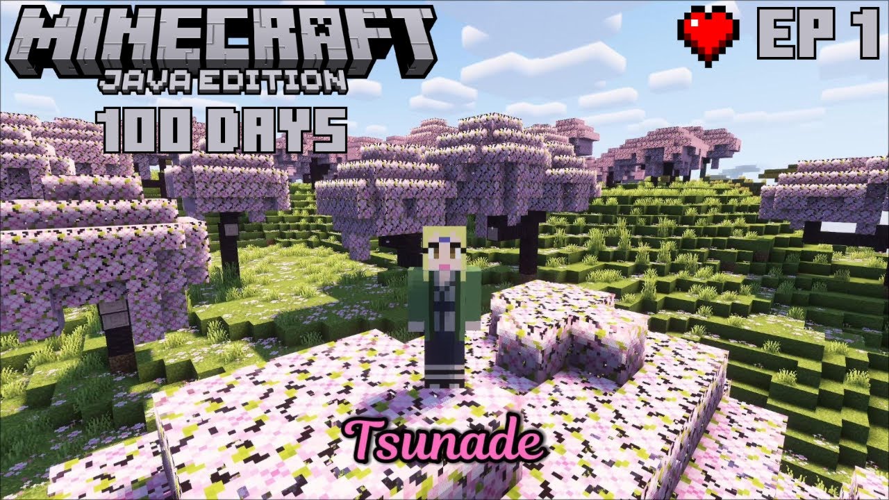 I played Minecraft Java Edition for the FIRST time! First 100 days. Ep ...