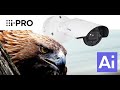 IPRO Kamera- Effiziente Videoüberwachung #ipro #überwachungskamera #germanprotect #videoüberwachung
