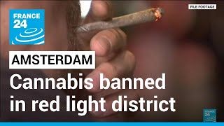 Amsterdam bans cannabis on red light district streets • FRANCE 24 English