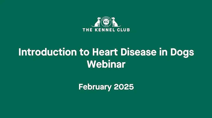Introduction to Heart Disease in Dogs