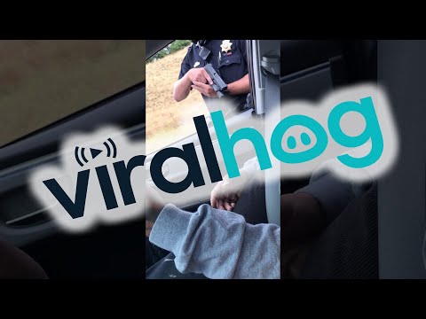 Cop Draws out Gun for a Traffic Stop || ViralHog