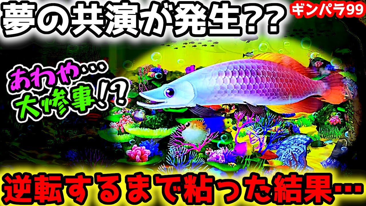 "夢の競演が発生"逆転するまで粘った結果…【PAギンギラパラダイス 夢幻カーニバル 99ver.】《ぱちりす日記》甘デジ 海物語 ギンパラ