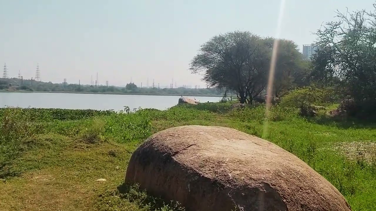 Nature Therapy 🌿 Calm Lake & Birds Naturevibe 🌱☘️🌿