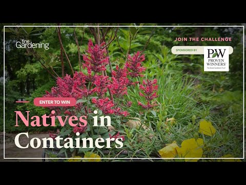 Design the Best Native Plant Container Garden: Join Our Contest and Win Plants and Pots!