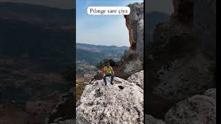 Hey Wax Lımın