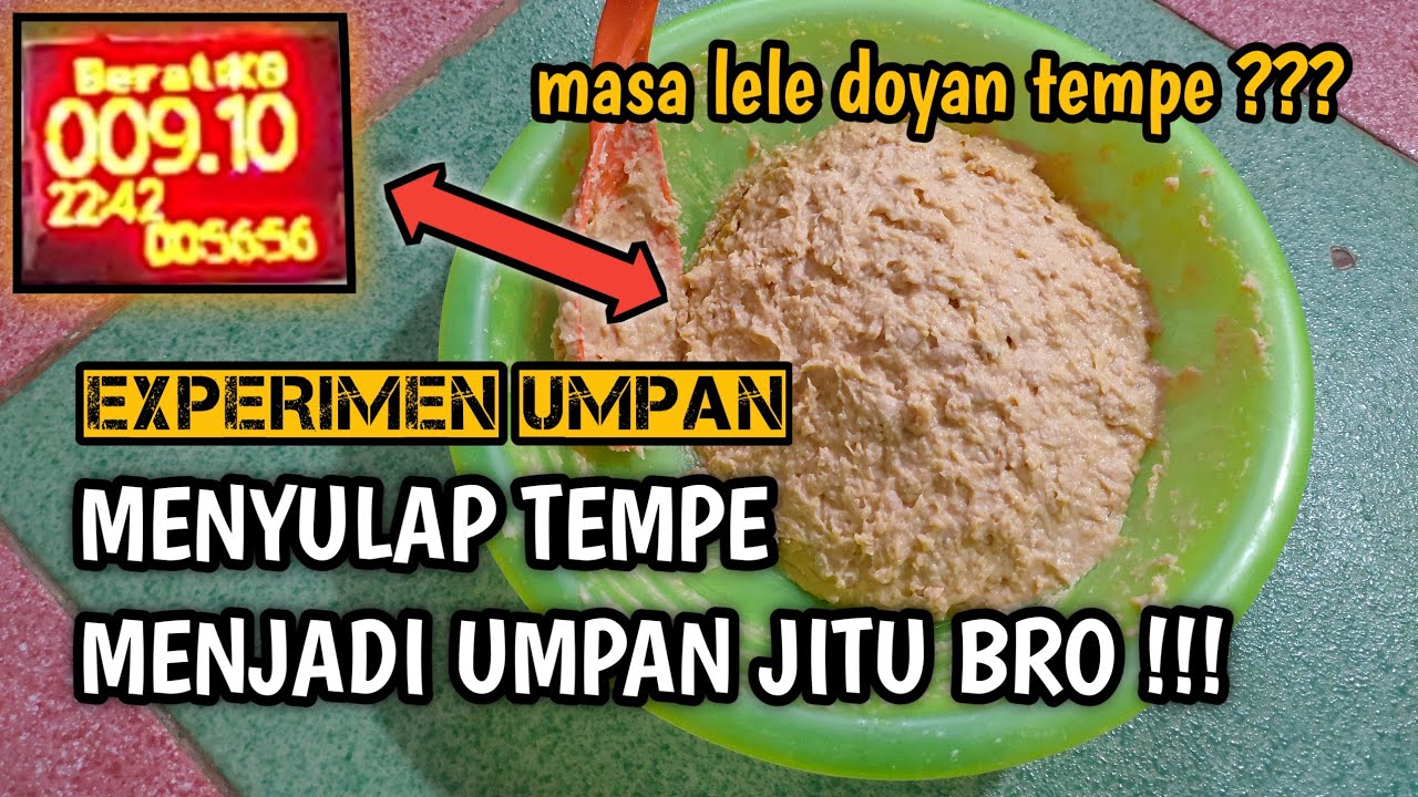 UMPAN TEMPE GALATAMA LELE BAWA INDUK 1 BRO !!!