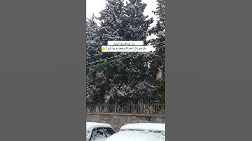 آيات من سورة ق بصوت الشيخ مشاري العفاسي || تلاوة مؤثرة ومبكية 😭❤|| حالات واتساب دينية