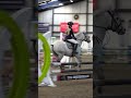 Harlow and Arg ❤️ Have you seen our latest showjumping vlog?! 🤩 Linked above!