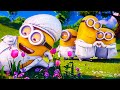 Gru S Wedding The Minions Dance Despicable Me 2 CLIP 4K Gru S Wedding The Minions Dance Despicable Me 2 CLIP 4K