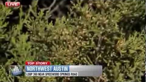 Cedar pollen count in Austin reaches 