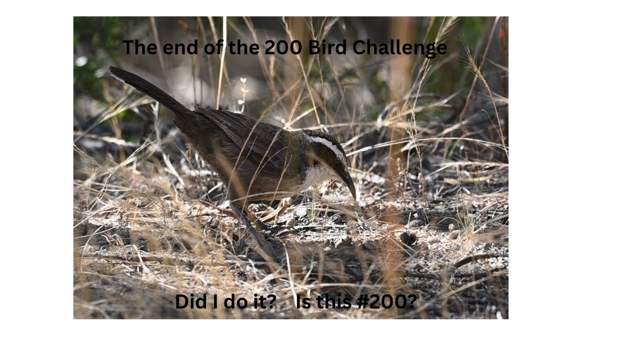 The End!!! Is this # 200