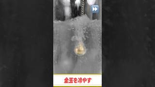 100%解けない究極の知恵の輪