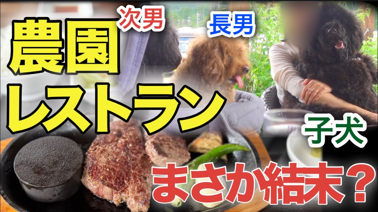 【贅沢】山奥ステーキ店へ、まさか結末…。ラン行けず…。【ばんじゃーる駒ケ原】