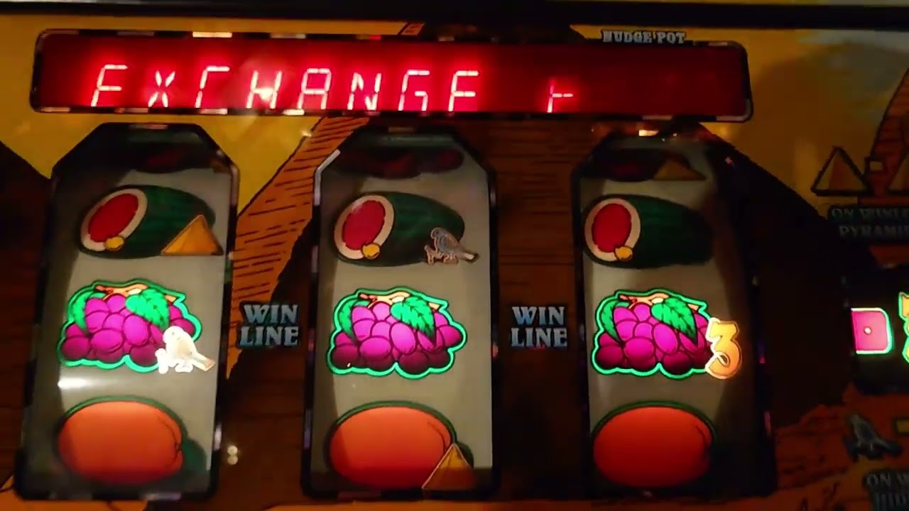 ReelFruits Maidstone - 09/07/2022