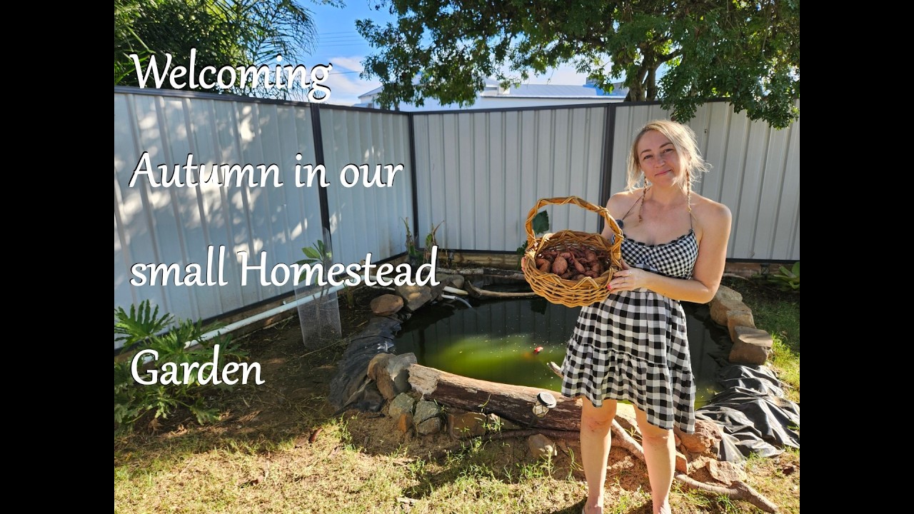 First Day of Autumn in the Garden