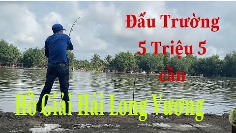 Câu Cá Tra Hồ Giải Hải Long Vương.Một Ngày Đầy Cảm Giác.Cám T1 Đồng Hành.