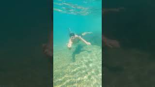 Su Yaşam Balık Apo Resimi