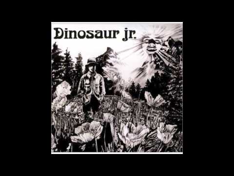 Dinosaur Jr. - Forget the Swan