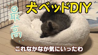 【犬ベッドDIY】ポメチワぽんずに与えてみた。材料費３００円！モコモコのベッドに大満足【ポメラニアン×チワワ】