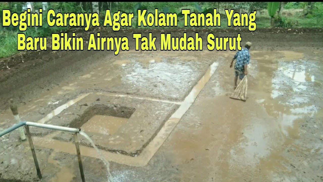 Kolam Tanah Yang Bagus | Caranya Seperti Ini Agar Kolam Tanah Airnya Tetap Stabil/Ga Mudah Berkurang