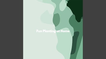 Pulsating Backdrops for Individual Mind