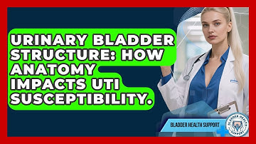Urinary Bladder Structure: How Anatomy Impacts UTI Susceptibility. - Bladder Health Support