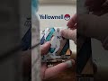2025 Panini Mosaic NFL Trading Cards Rip