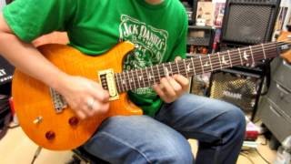 Prs Santana Se Guitar Demo By Chatreeo