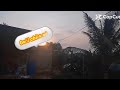 Đàn gà nhà mình #DiễmMy #pets #xuhuong #animals #xuhuong2025 #thinhhanh