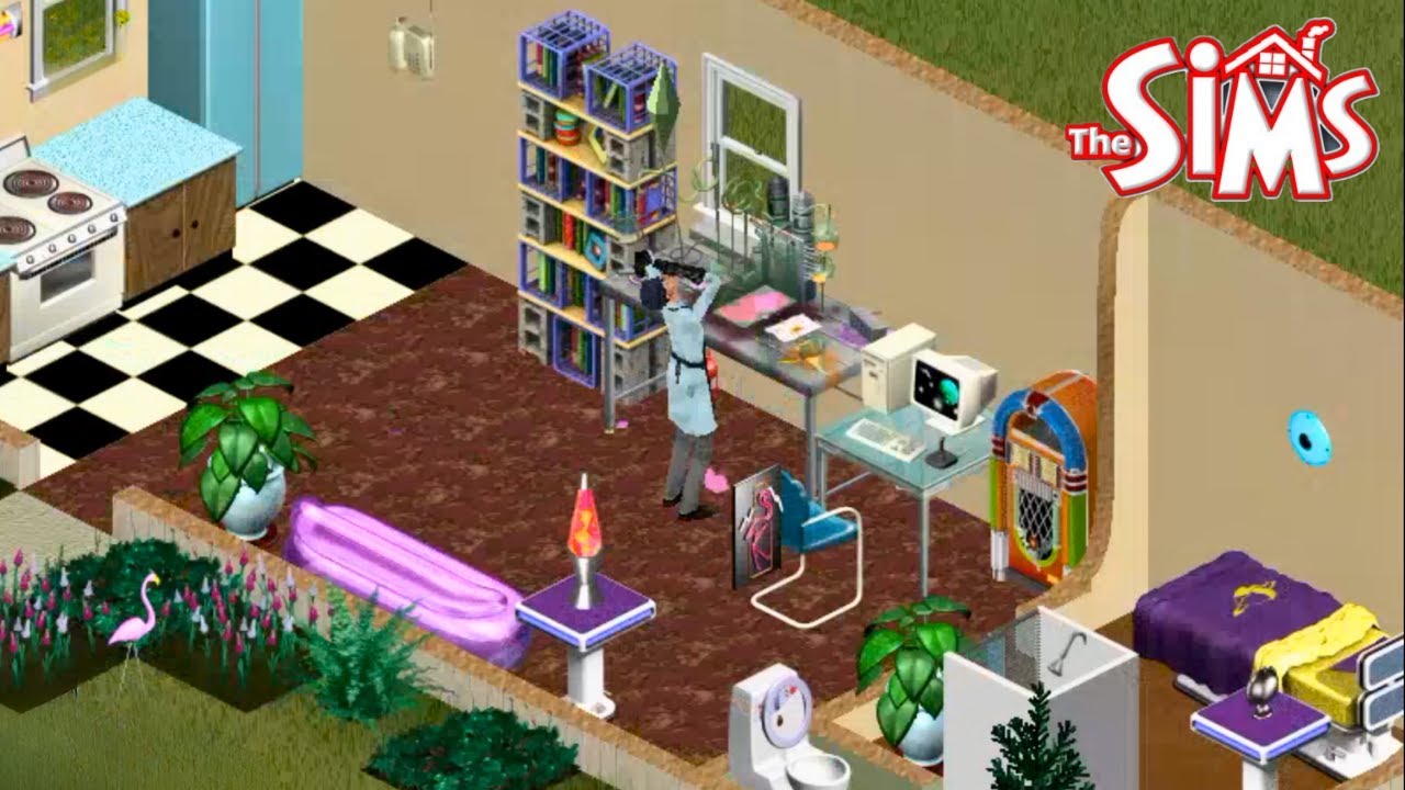 The Sims 1 but I'm a Mad Scientist...