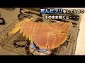 究極の味！！死んだフリをしたエビをそのまま焼いたら驚きの行動に。。。