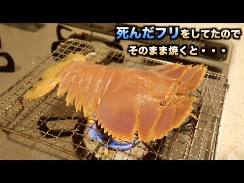 究極の味！！死んだフリをしたエビをそのまま焼いたら驚きの行動に。。。