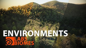Epic Environments Made Easy | Using Biomes in Houdini