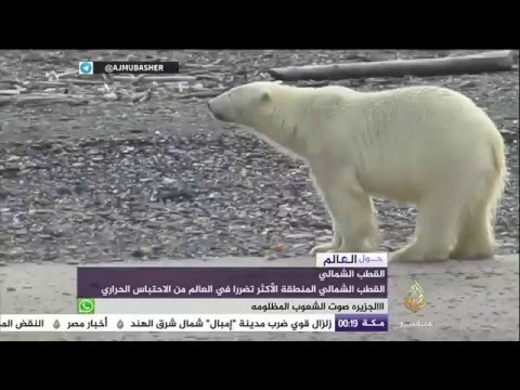 مشاهد مذهلة من القطب الشمالي