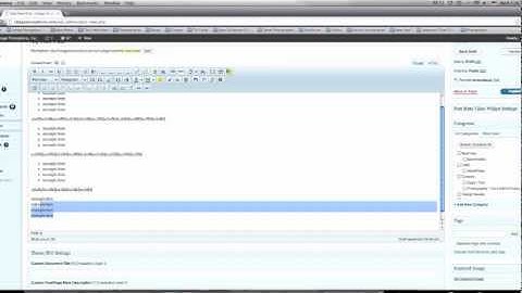 Las Vegas Web Design, Ted Vieira - Adding Bullet Points in WordPress