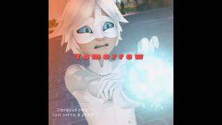 Die With A Smile X Chat Blanc Miraculous Tales Of Ladybug And Cat Noir