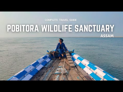 วีดีโอ: Assam's Pobitora Wildlife Sanctuary: Essential Travel Guide