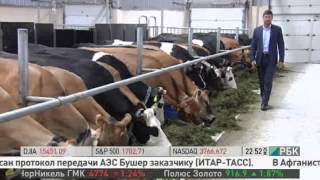 Органические продукты. Программа 